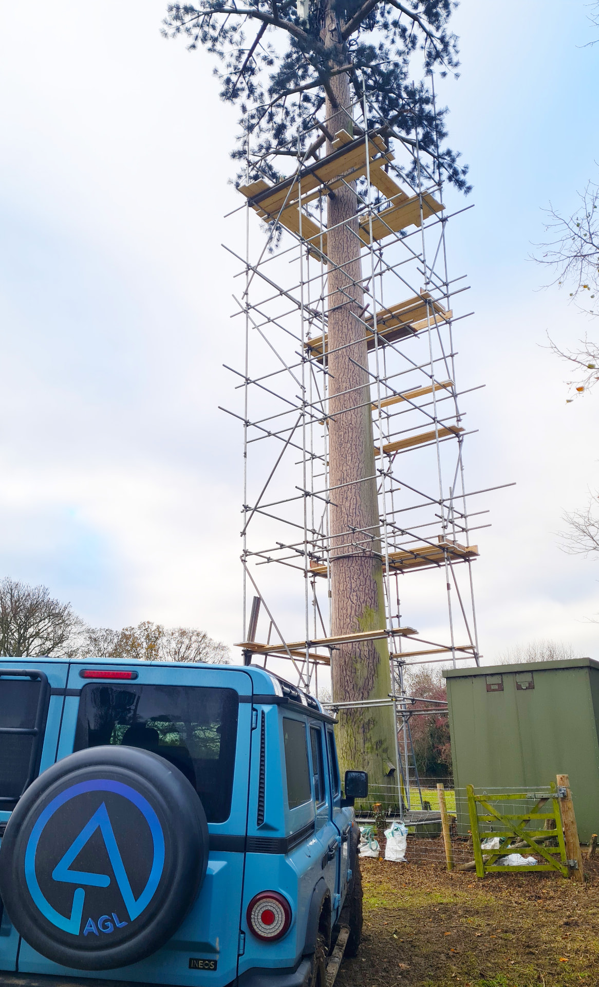 AGL vehicle parked beside a scaffolded tree-mounted telecoms mast